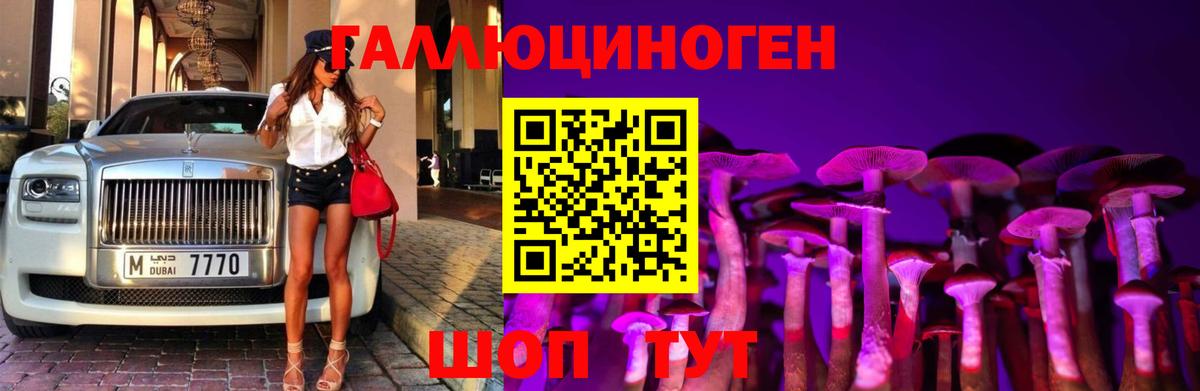 Красный Сулин  Псилоцибиновые грибы Psilocybe  Вход с VPN  Галлюциногенные грибы прущие грибы 